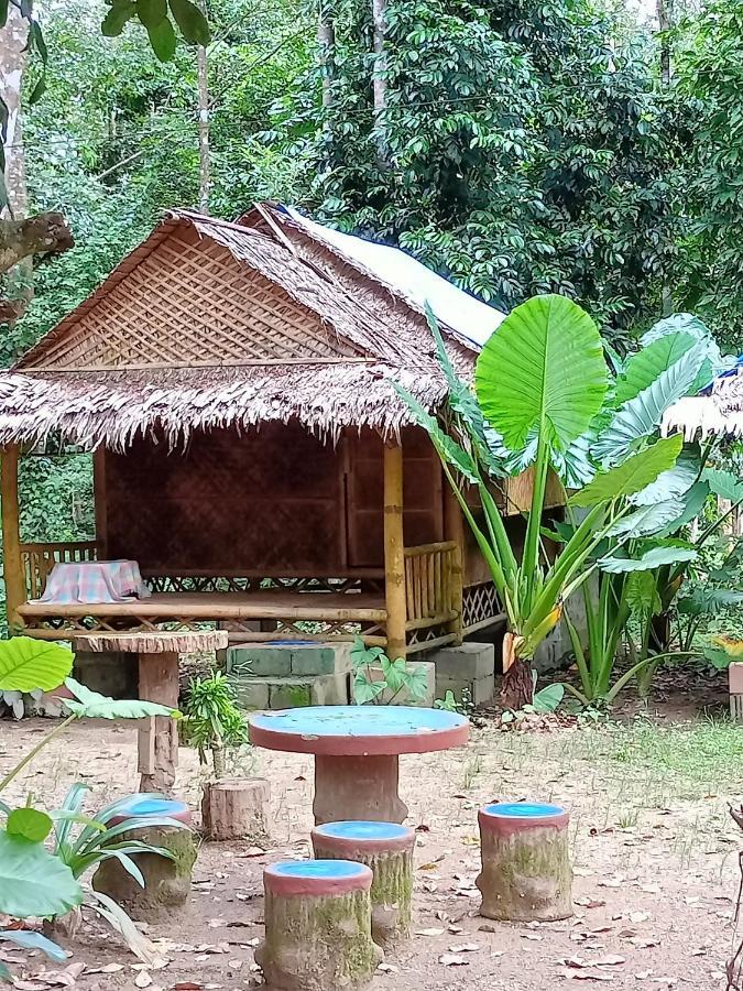 Khai Jungle Experience Camp & Tour Apartment Khao Sok National Park Exterior photo