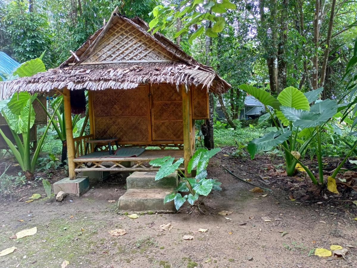 Khai Jungle Experience Camp & Tour Apartment Khao Sok National Park Exterior photo